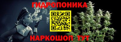 крисы Белореченск