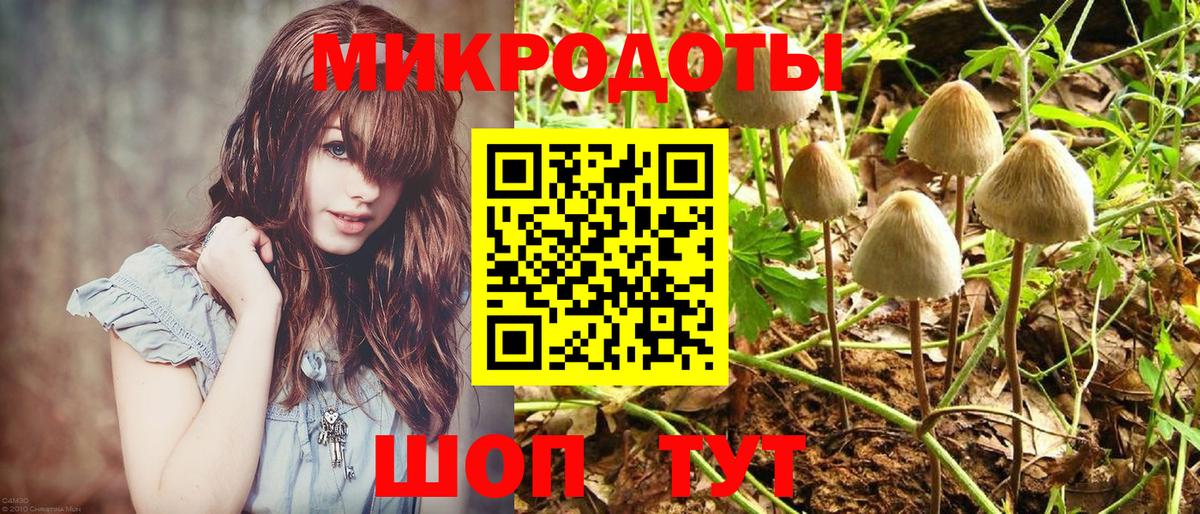 Псилоцибиновые грибы Magic Shrooms Добрянка